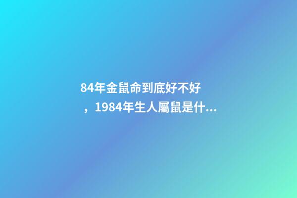 84年金鼠命到底好不好，1984年生人屬鼠是什么命 1984年屬鼠人命運，1984年屬鼠的人是什么命